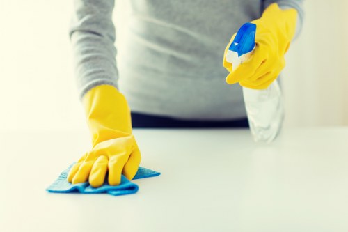 Deep cleaning for a renovated SW14 property