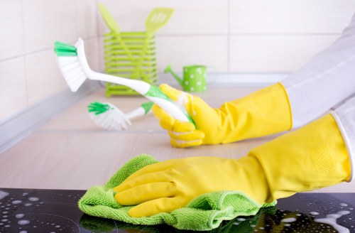 Local cleaners preparing a tailored domestic clean in SW14