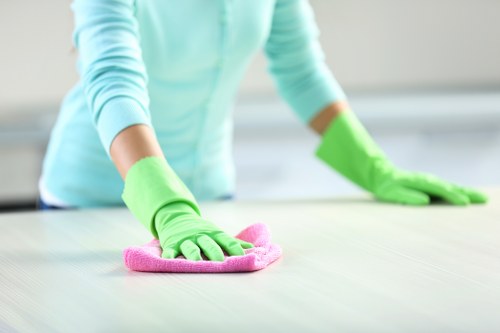 Regular house cleaning service for a flat in SW14
