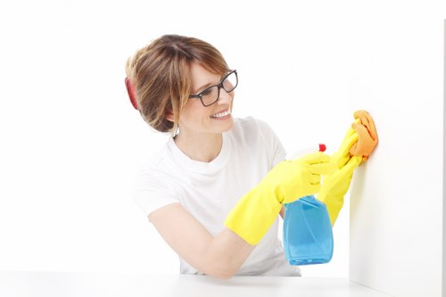 Local carpet cleaner working on a residential carpet in Mortlake