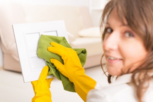 Nearby SW14 cleaner helping with regular home and office cleaning