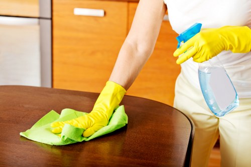 Professional deep cleaning for a flat or house in SW14
